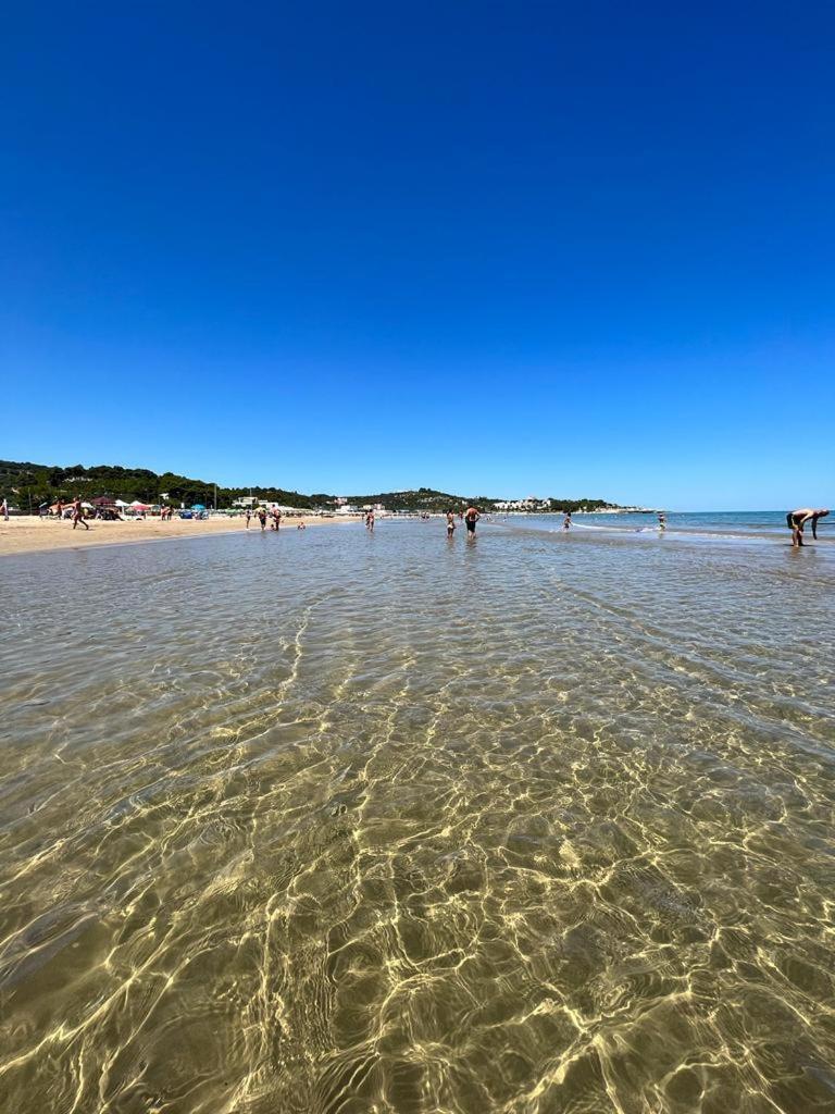 Appartamenti Le Porte Del Gargano Vieste Bagian luar foto